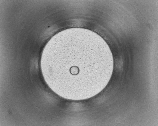 X0000115300302200911231314