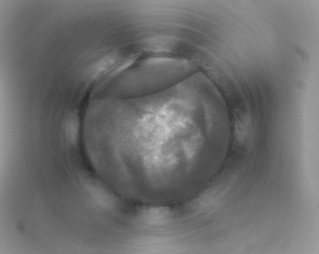 X0000115300304200911231314