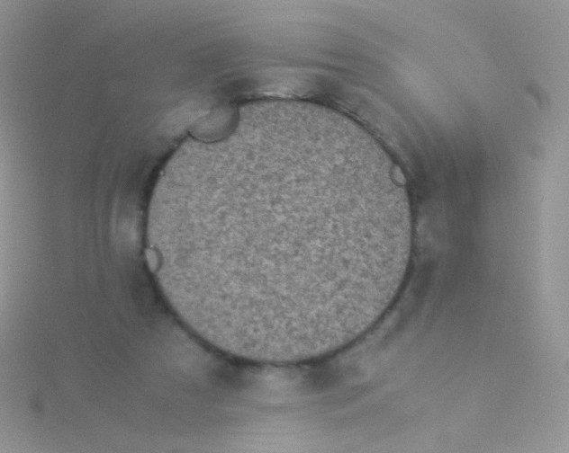 X0000115300305200911231314