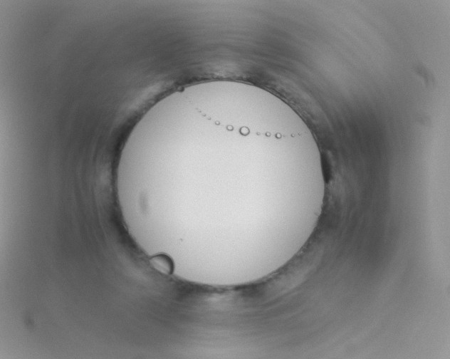 X0000115300306200911231314