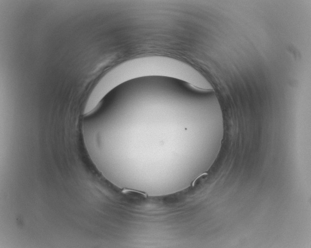 X0000115300308200911231314