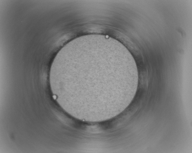 X0000115300309200911231314