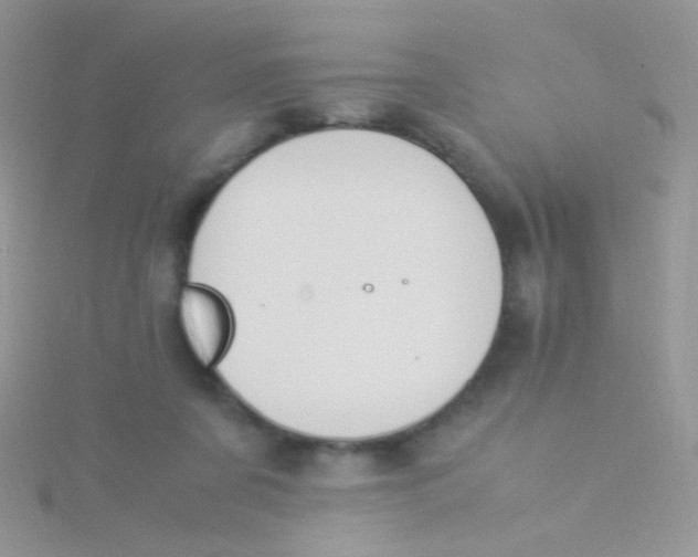 X0000115300311200911231314