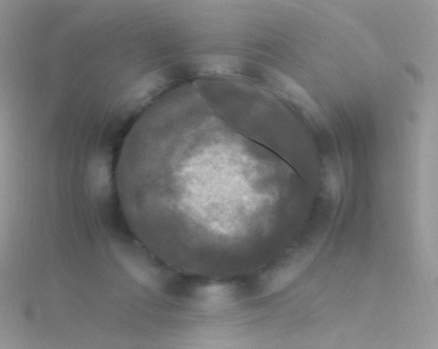 X0000115300312200911231314