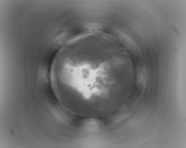 X0000115300316200911231314