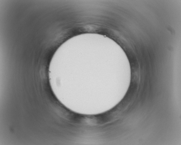 X0000115300317200911231314