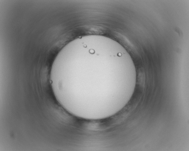 X0000115300318200911231314