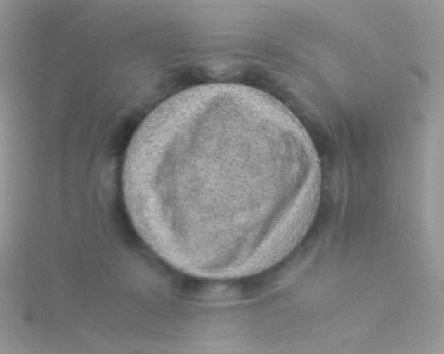 X0000115300319200911231314