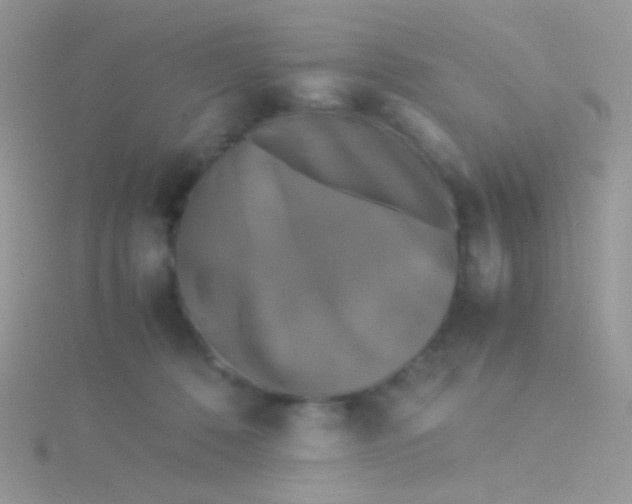 X0000115300320200911231314