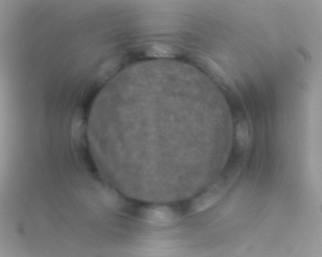 X0000115300322200911231314