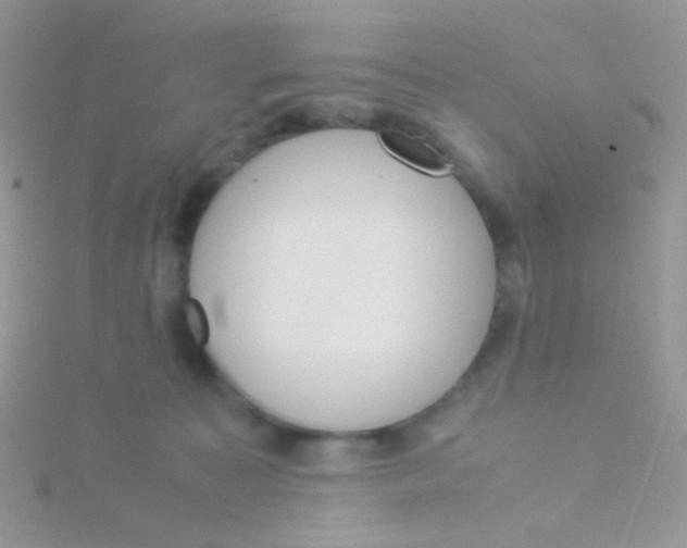 X0000115300323200911231314