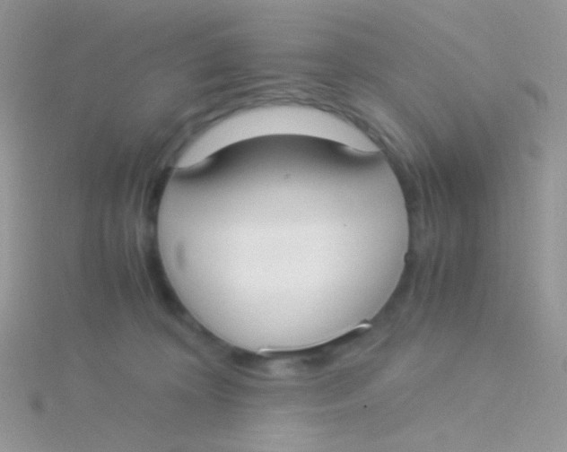 X0000115300324200911231314