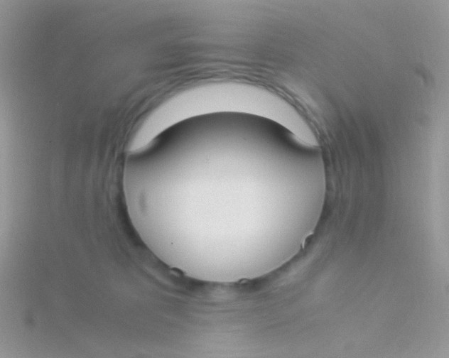 X0000115300325200911231314