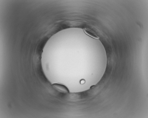 X0000115300327200911231314