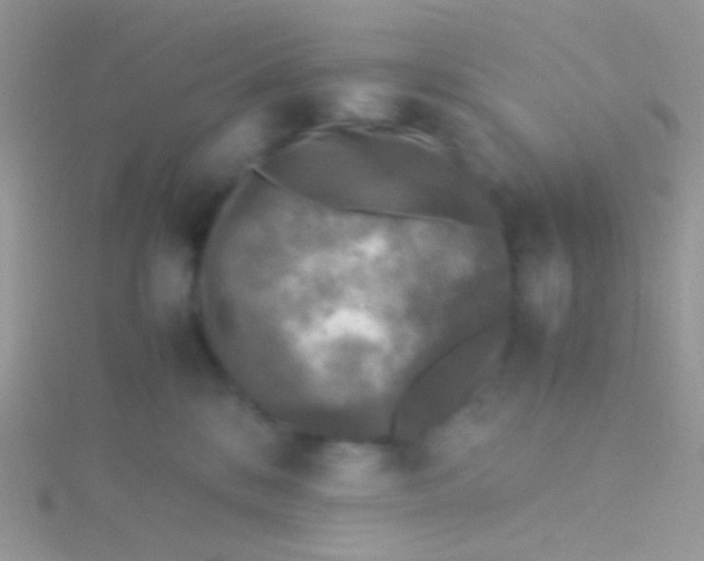 X0000115300328200911231314