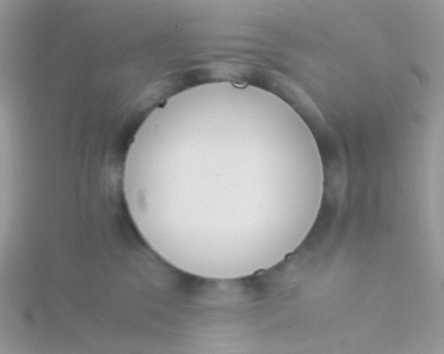 X0000115300329200911231314