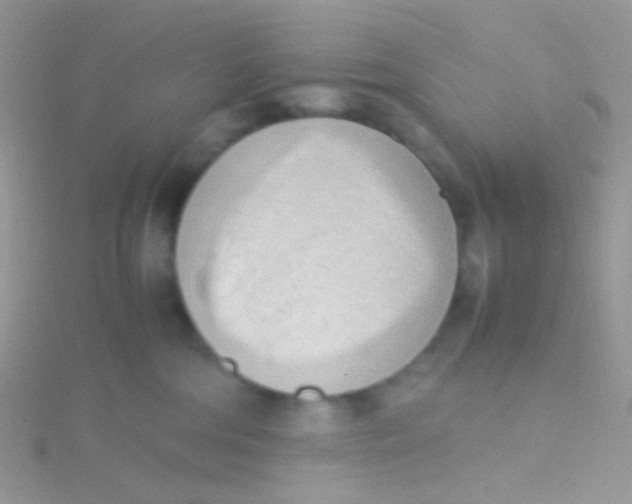 X0000115300330200911231314