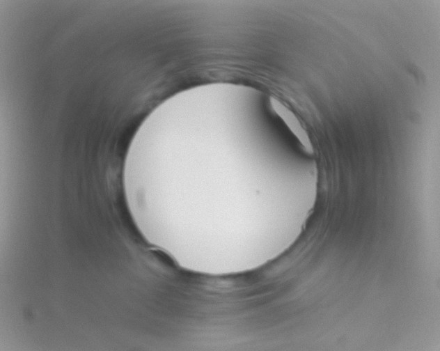 X0000115300332200911231314