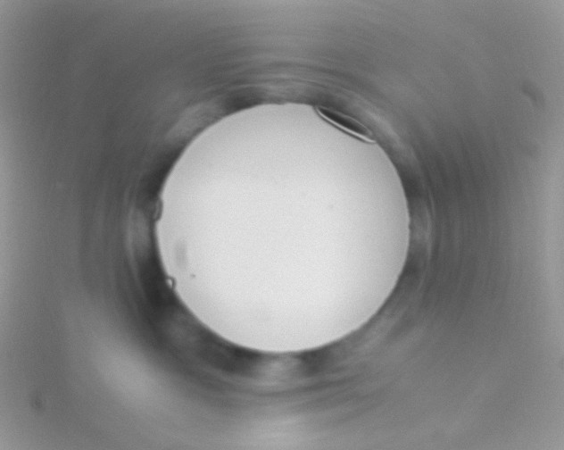 X0000115300333200911231314