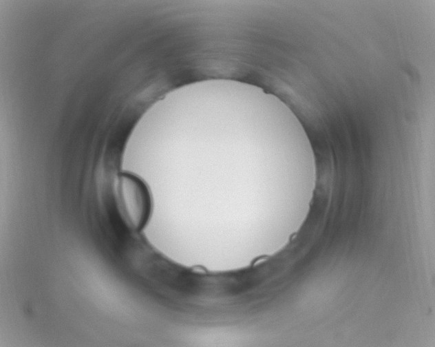 X0000115300334200911231314