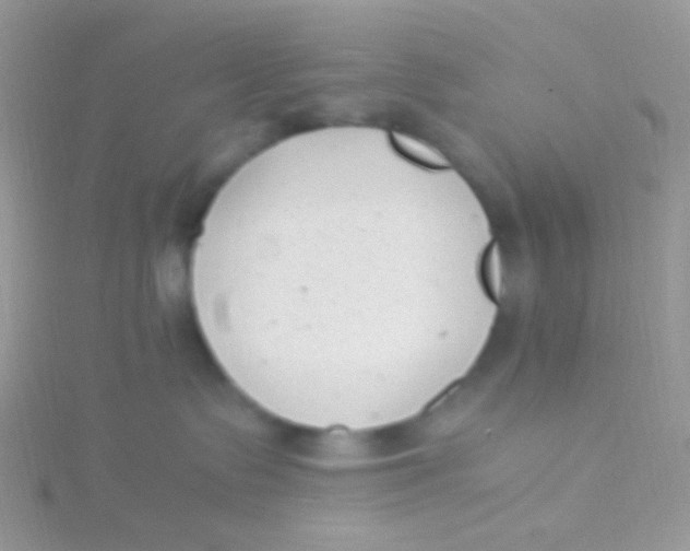 X0000115300335200911231314