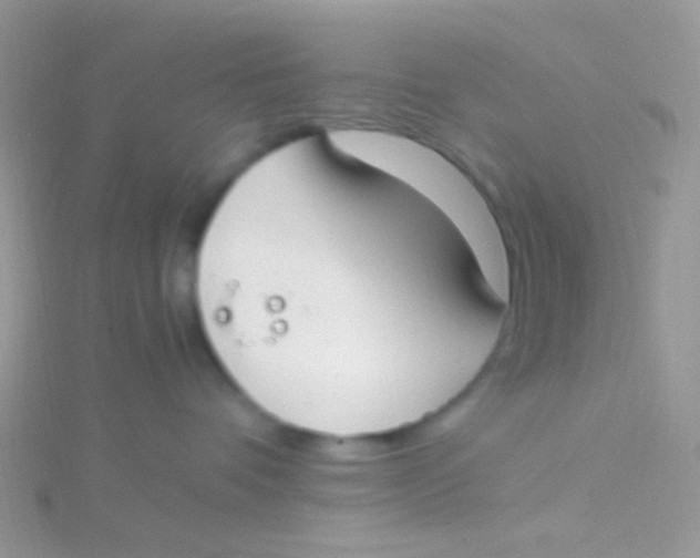 X0000115300336200911231314