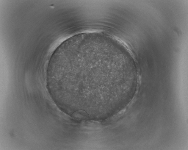 X0000115300337200911231313