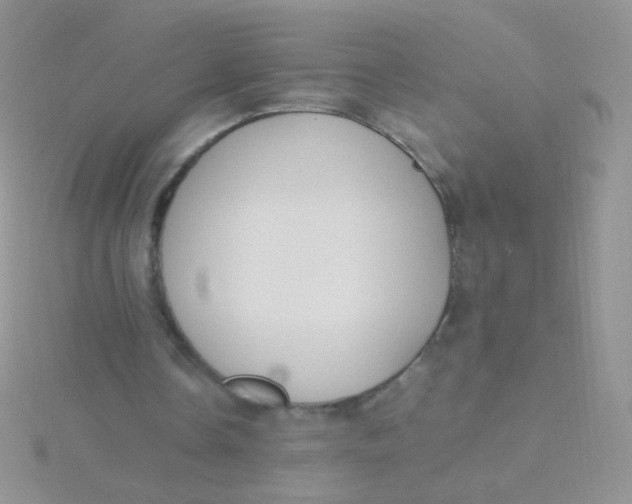 X0000115300338200911231313