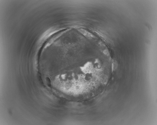 X0000115300339200911231313