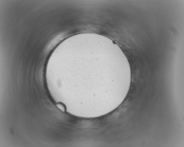 X0000115300341200911231313