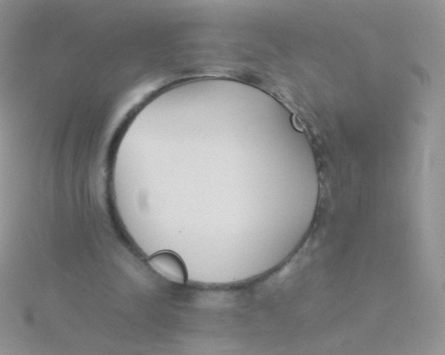 X0000115300342200911231313