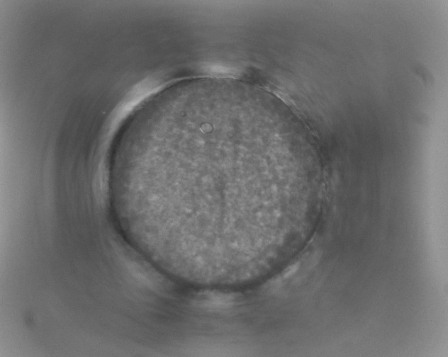 X0000115300343200911231313