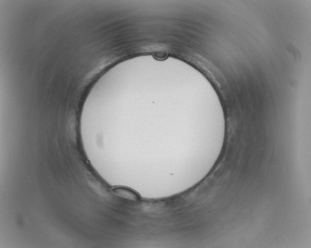 X0000115300345200911231313