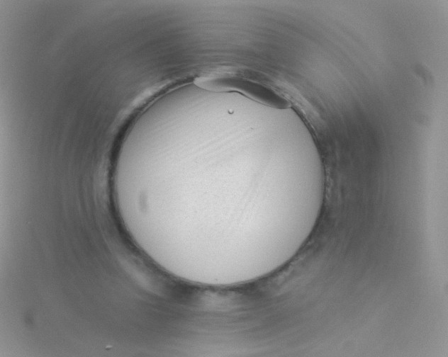 X0000115300346200911231313