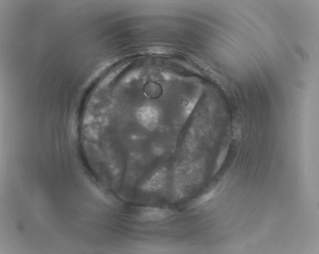 X0000115300347200911231313