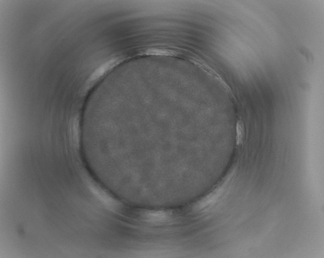 X0000115300349200911231313