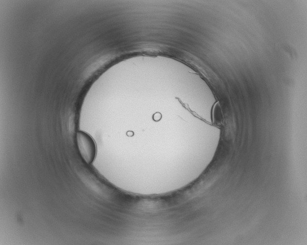 X0000115300350200911231313