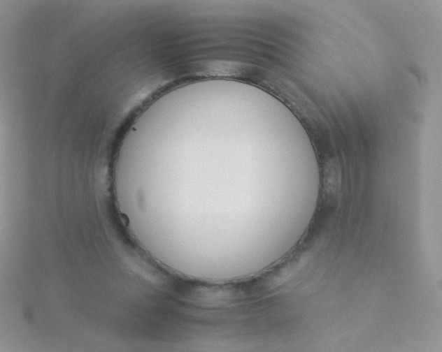 X0000115300351200911231313