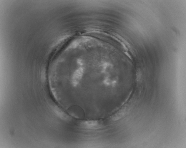 X0000115300353200911231314