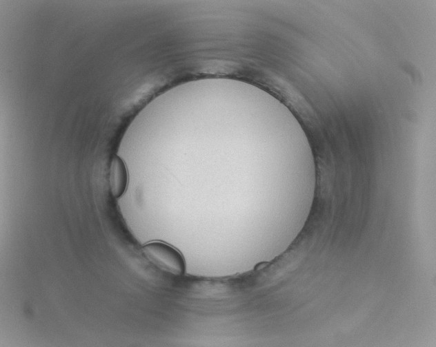 X0000115300354200911231314