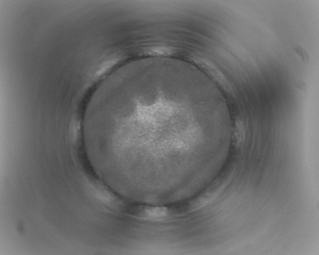 X0000115300355200911231314