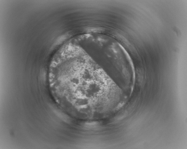 X0000115300357200911231314