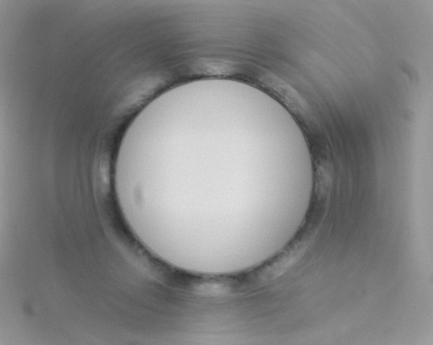 X0000115300358200911231314