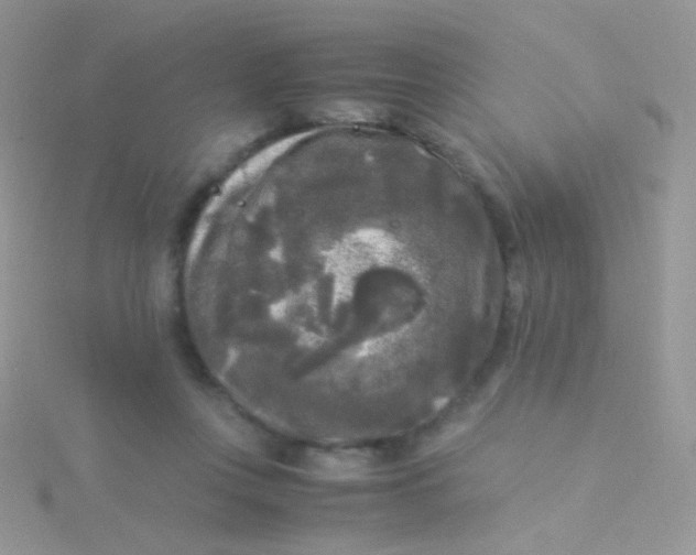 X0000115300359200911231314