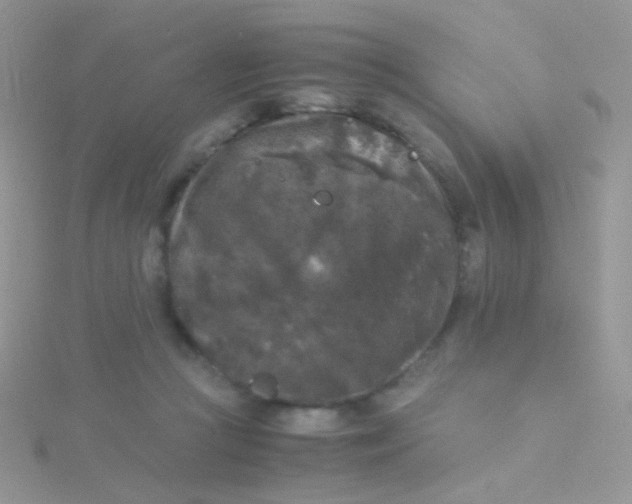 X0000115300361200911231314