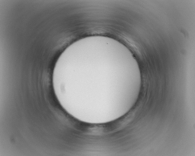 X0000115300362200911231314