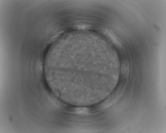 X0000115300363200911231314