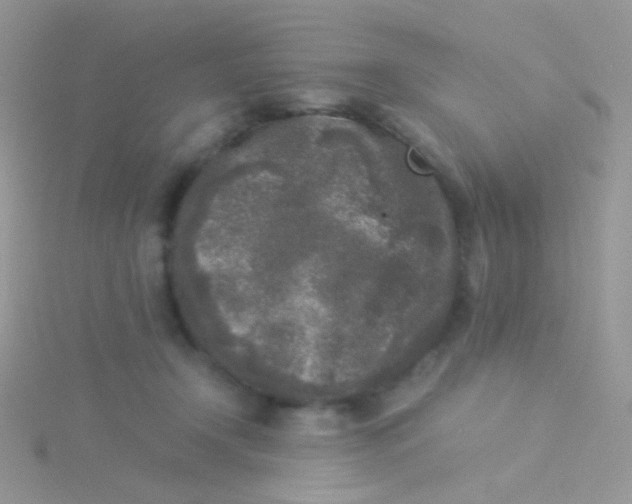 X0000115300366200911231314