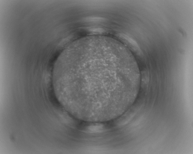 X0000115300369200911231314