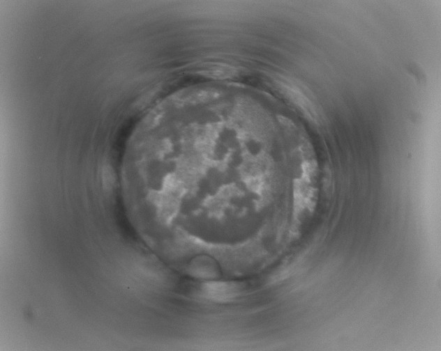 X0000115300371200911231314